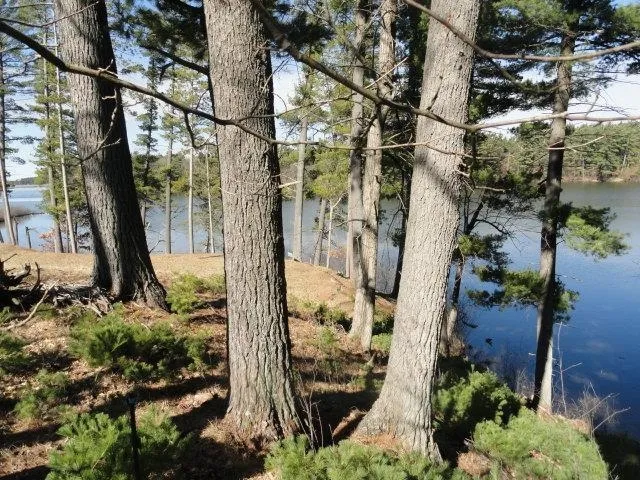 $97,000 | Lot 15 Fly Rod Trail, Wisconsin Rapids, WI 54494