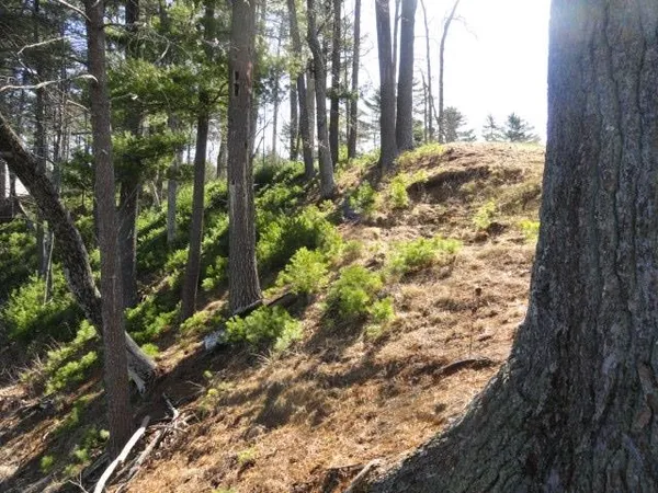 $98,500 | Lot 15 Fly Rod Trail, Wisconsin Rapids, WI 54494