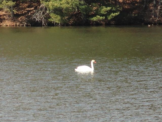 Lot 15 Fly Rod Trail Wisconsin Rapids, WI 54494 - Photo 46 of 56