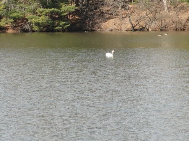 $97,000 | Lot 15 Fly Rod Trail, Wisconsin Rapids, WI 54494