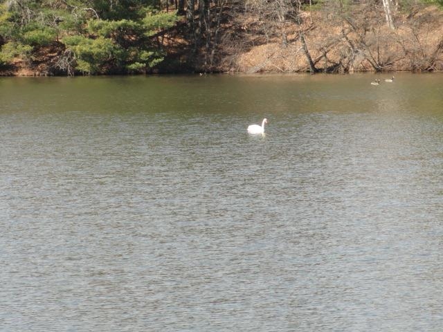 Lot 15 Fly Rod Trail Wisconsin Rapids, WI 54494 - Photo 47 of 56