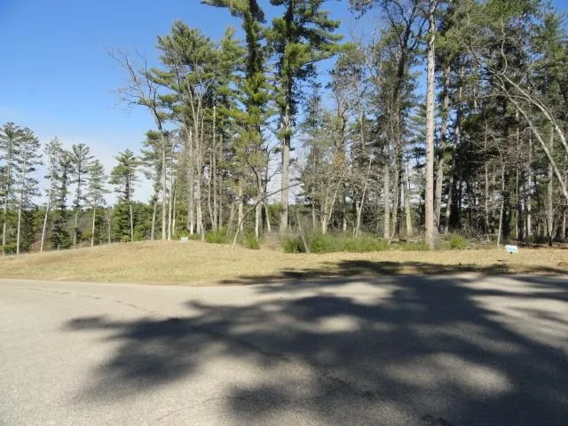 $97,000 | Lot 15 Fly Rod Trail, Wisconsin Rapids, WI 54494