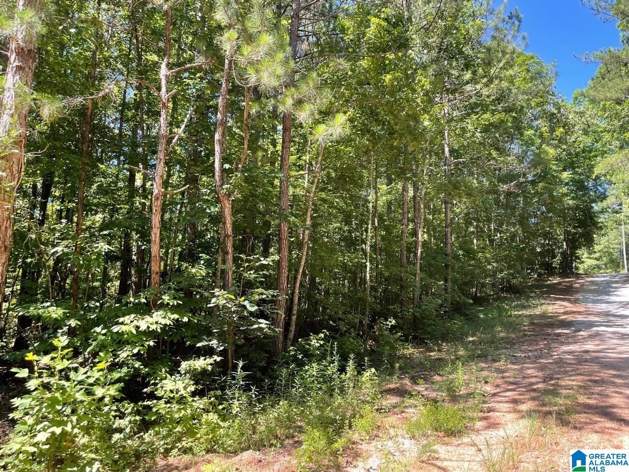 9901 County Road, Unit 23 24 25 26 27 Wedowee, AL 36278 - Photo 3 of 4