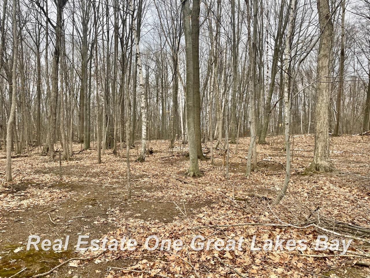 295 West Burns Line Road Melvin, MI 48454 - Photo 5 of 14