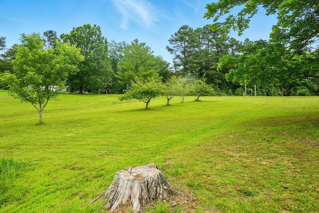 220 Rices Depot Road Rice, VA 23966 - Photo 19 of 28 Gallery Image 19