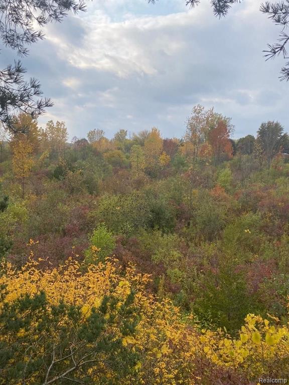 0 Eight Eight Mile Road Northville, MI 48167 - Photo 10 of 11