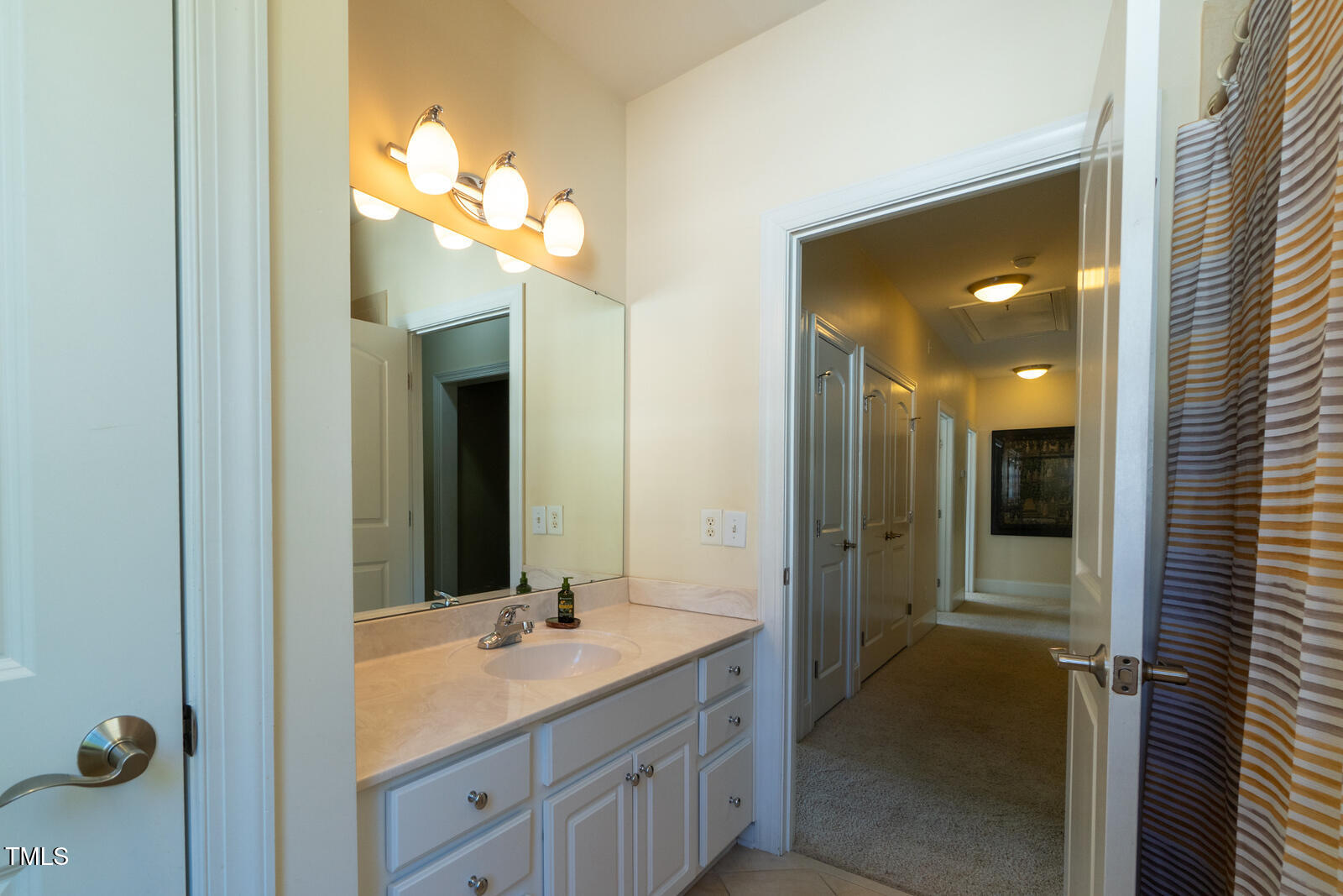 4211 Forest Edge Trail Durham, NC 27705 - Photo 36 of 62 a bathroom with a sink vanity and a mirror