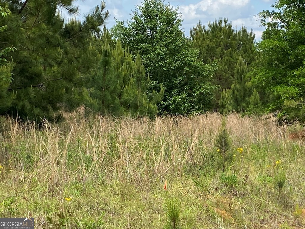 1001 B Holliday Road Dublin, GA 31021 - Photo 3 of 4