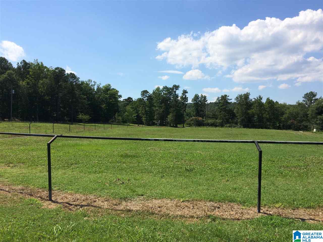 3134 Pine Mountain Road Remlap, AL 35133 - Photo 11 of 44 Gallery Image 11