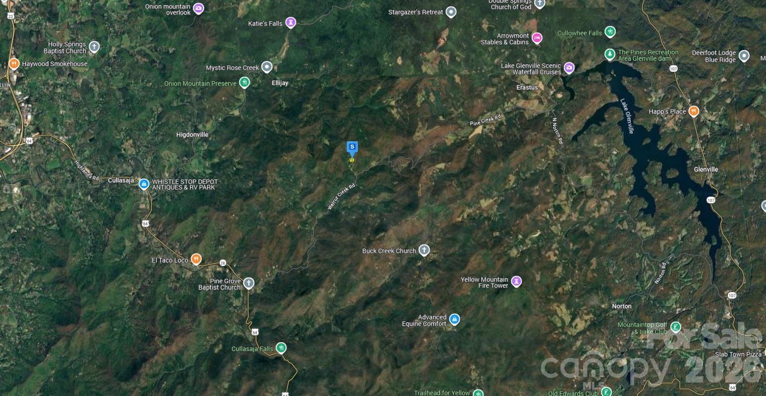 510 Stiwinter Mountain Road Franklin, NC 28734 - Photo 3 of 5 a picture of tree