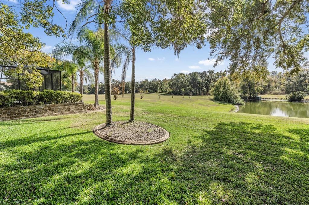 3911 Lithia Ridge Boulevard Valrico, FL 33596 - Photo 43 of 44