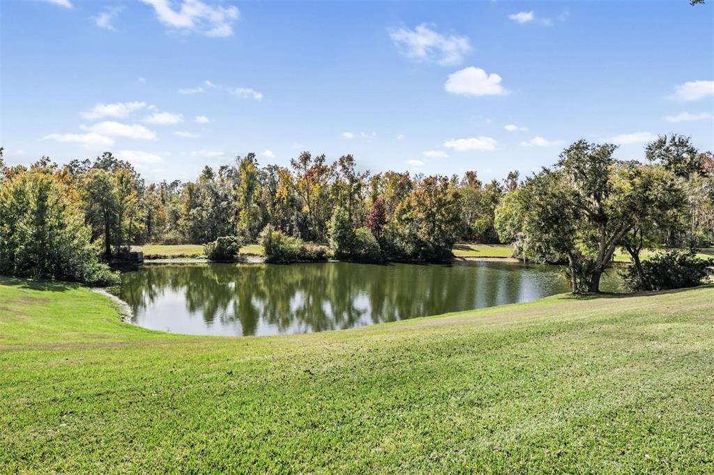 3911 Lithia Ridge Boulevard Valrico, FL 33596 - Photo 6 of 44