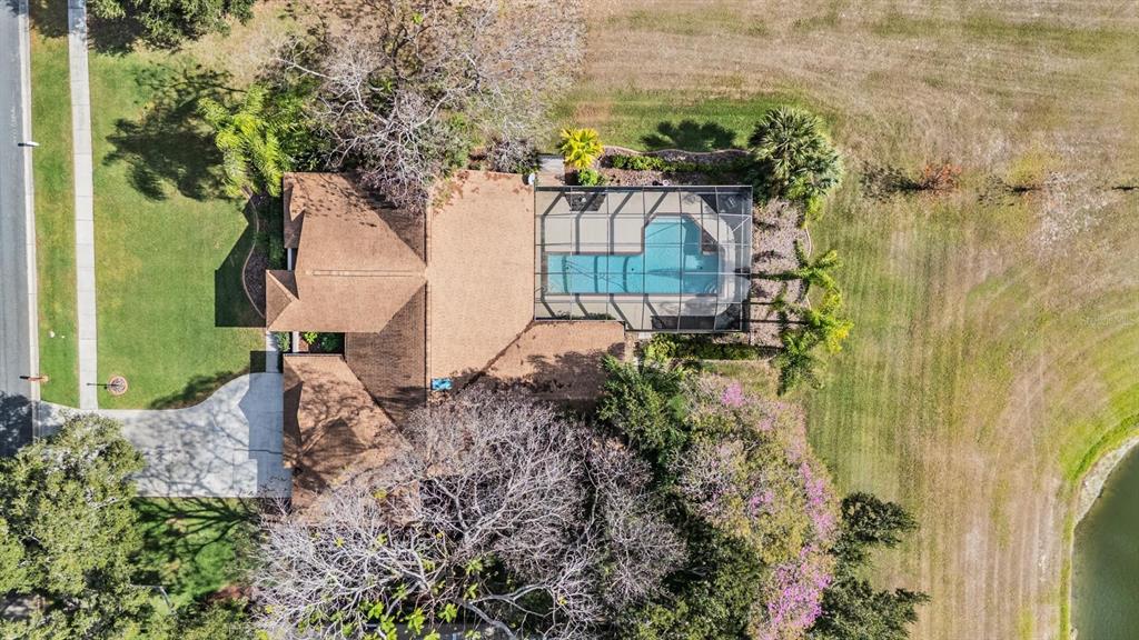 3911 Lithia Ridge Boulevard Valrico, FL 33596 - Photo 7 of 44