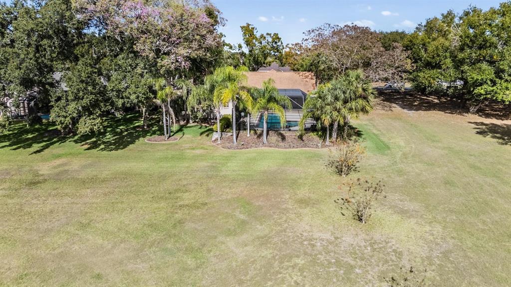 3911 Lithia Ridge Boulevard Valrico, FL 33596 - Photo 8 of 44