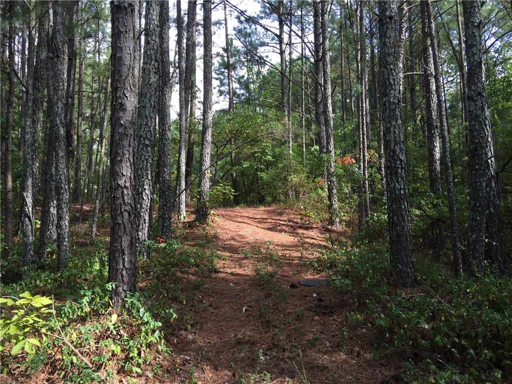 100 Valley View Drive Northwest Cartersville, GA 30121 - Photo 1 of 12