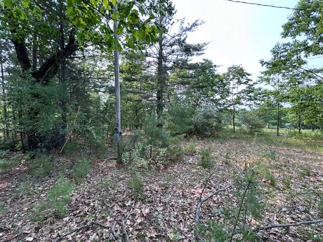 Thiem Road Herron, MI 49744 - Photo 11 of 16 Gallery Image 11