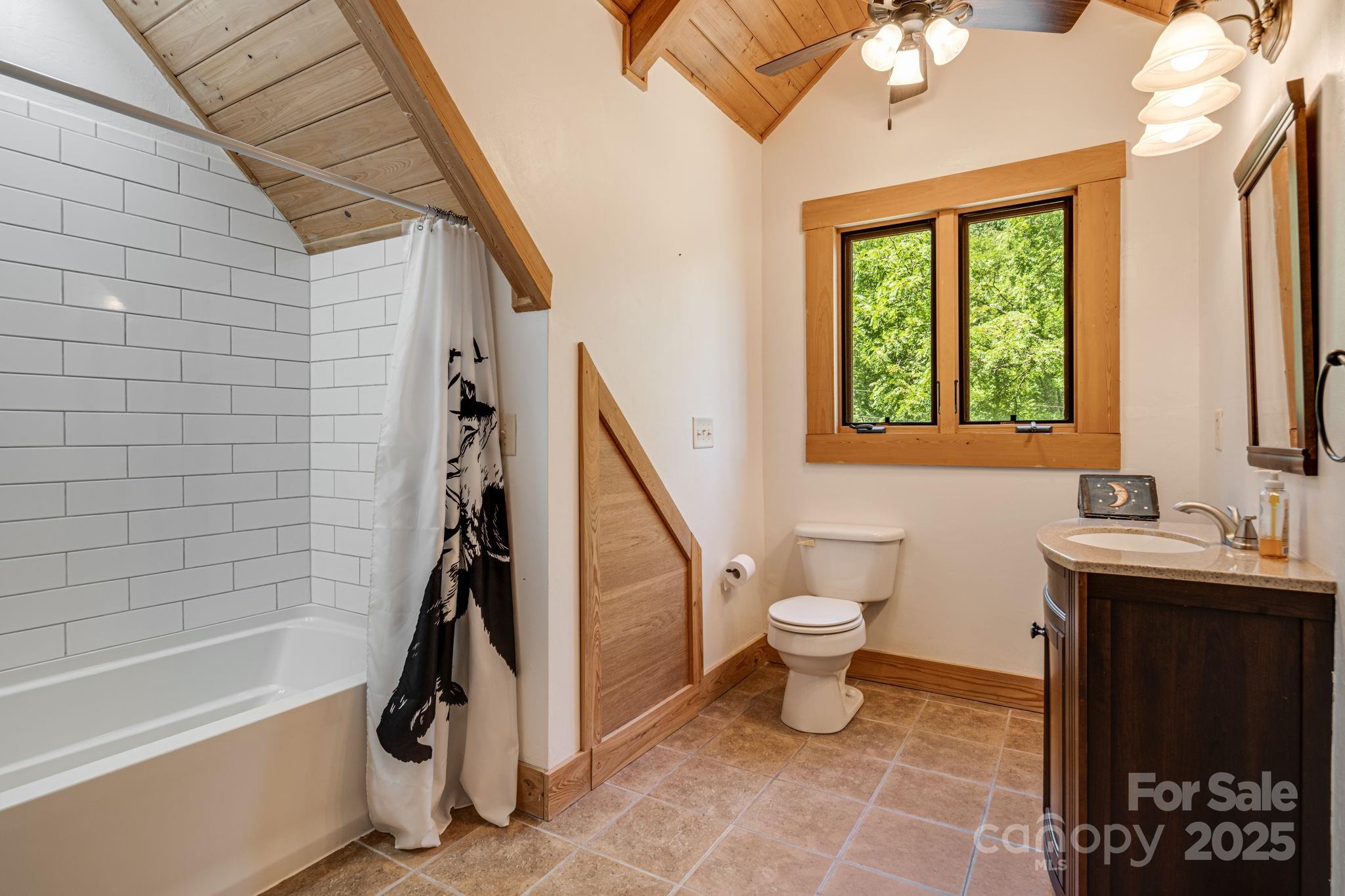 6018 Meadow Fork Road Hot Springs, NC 28743 - Photo 19 of 31 a bathroom with a toilet a sink and bathtub