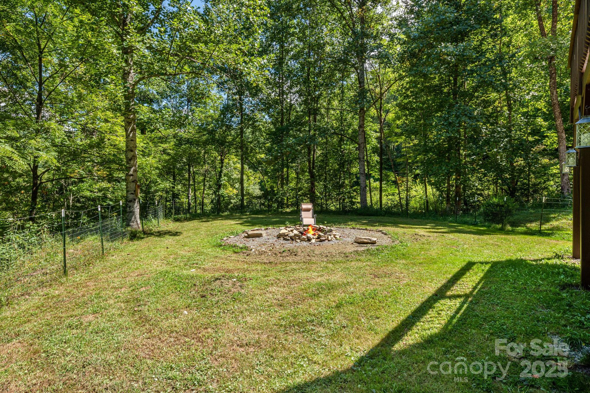 6018 Meadow Fork Road Hot Springs, NC 28743 - Photo 30 of 31 a view of a backyard with large trees