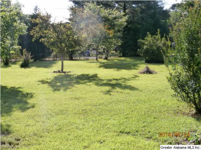 5035 Warrior Jasper Road Dora, AL 35062 - Photo 23 of 23
