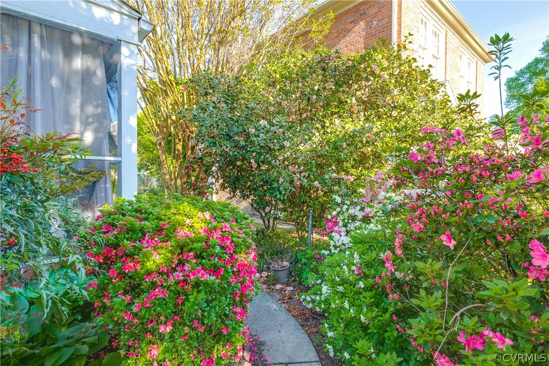 3926 Brook Road Richmond, VA 23227 - Photo 22 of 25 a flower plants in front of a house
