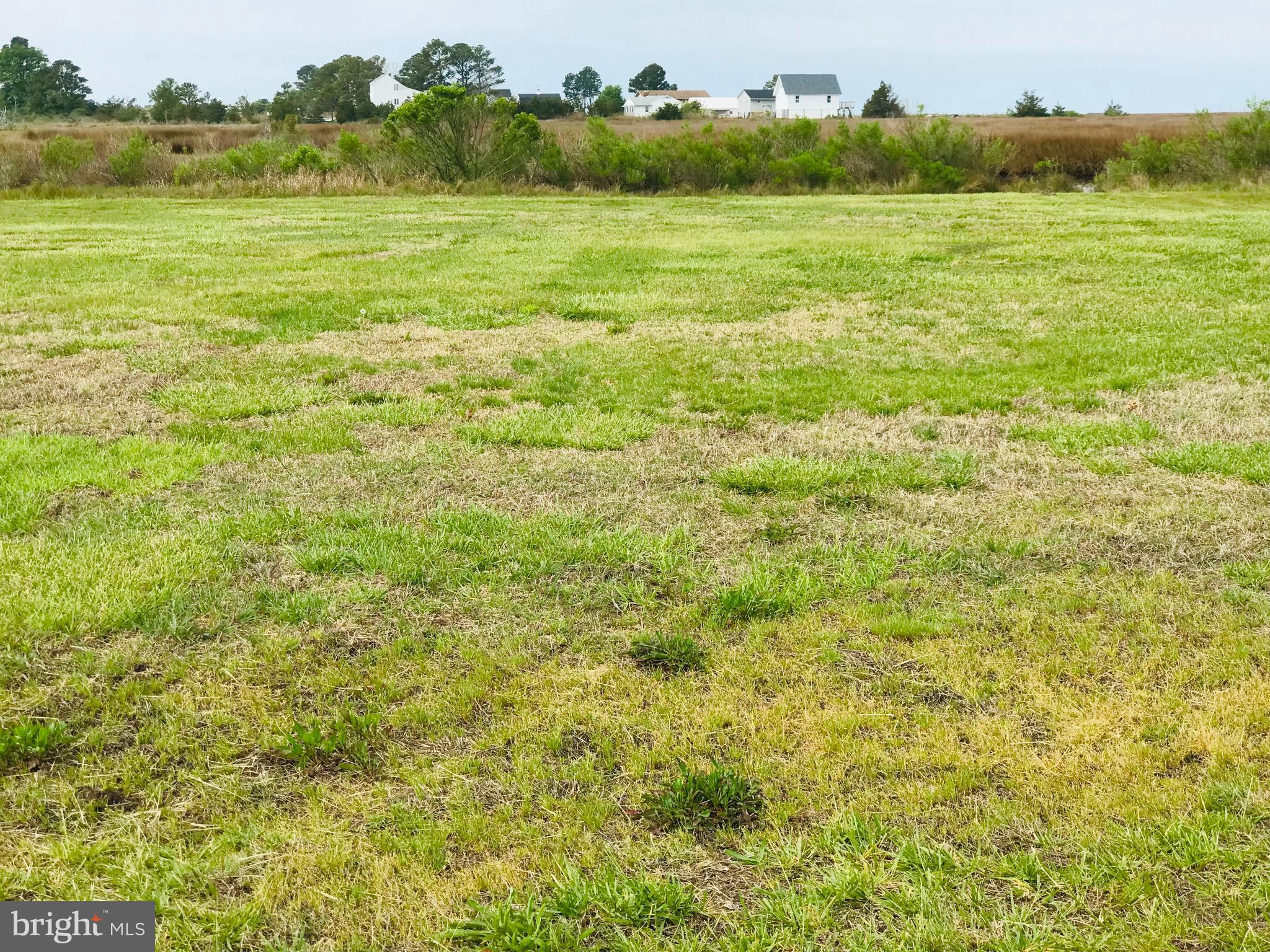 7792 Riverview Road Westover, MD 21871 - Photo 1 of 10 Southern View