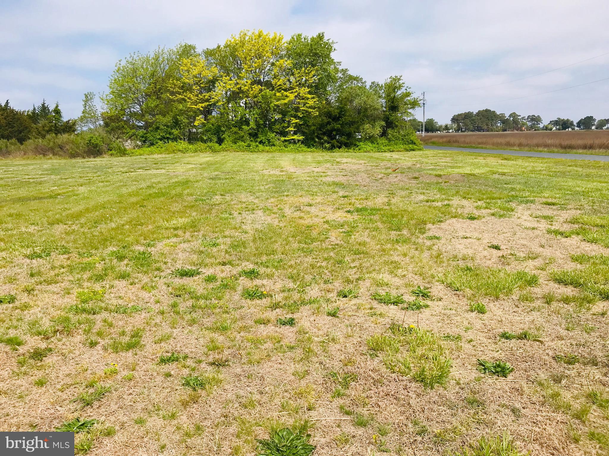 7792 Riverview Road Westover, MD 21871 - Photo 4 of 10 Lot Northern View