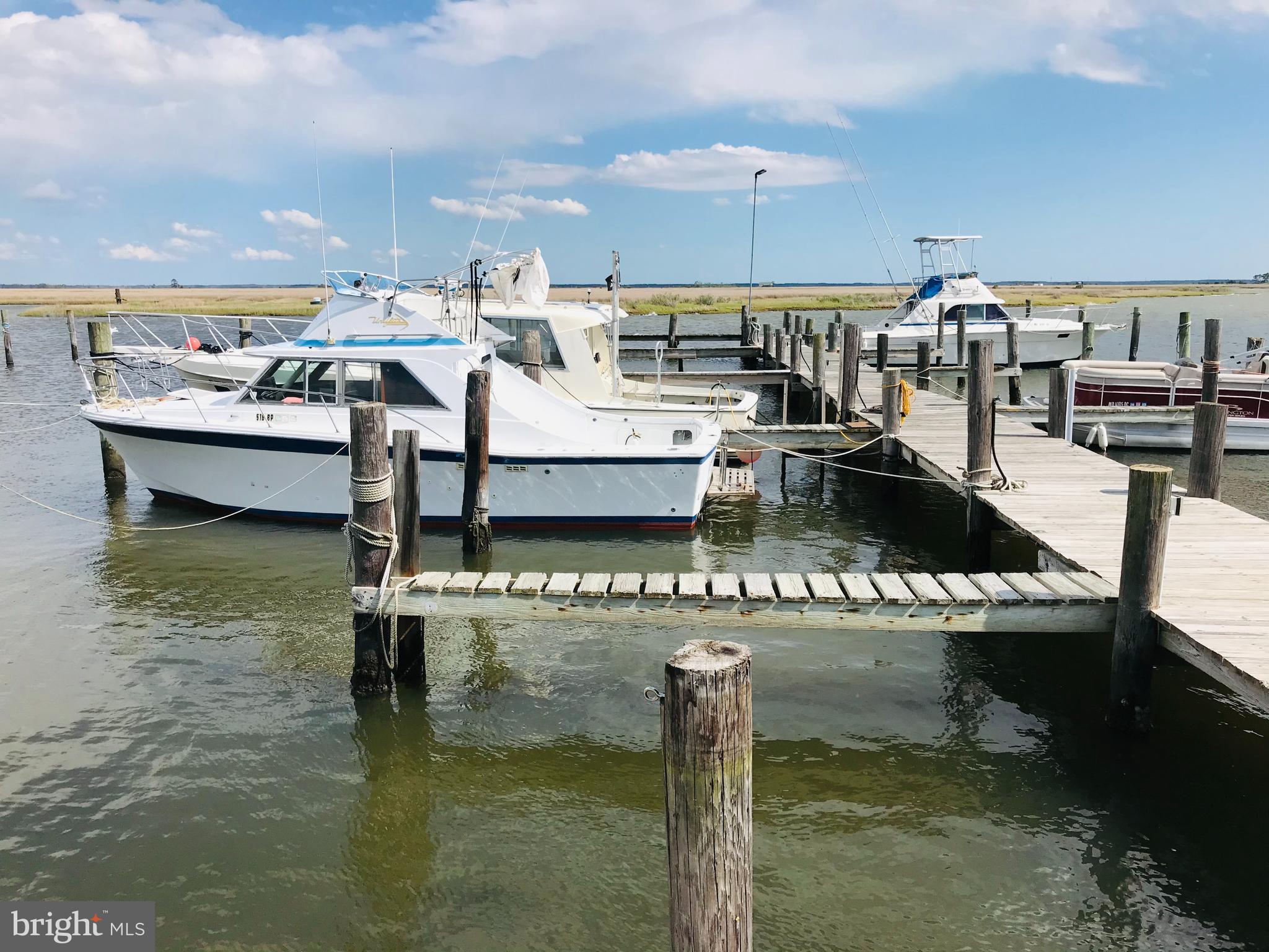 7792 Riverview Road Westover, MD 21871 - Photo 8 of 10 Goose Creek Marina