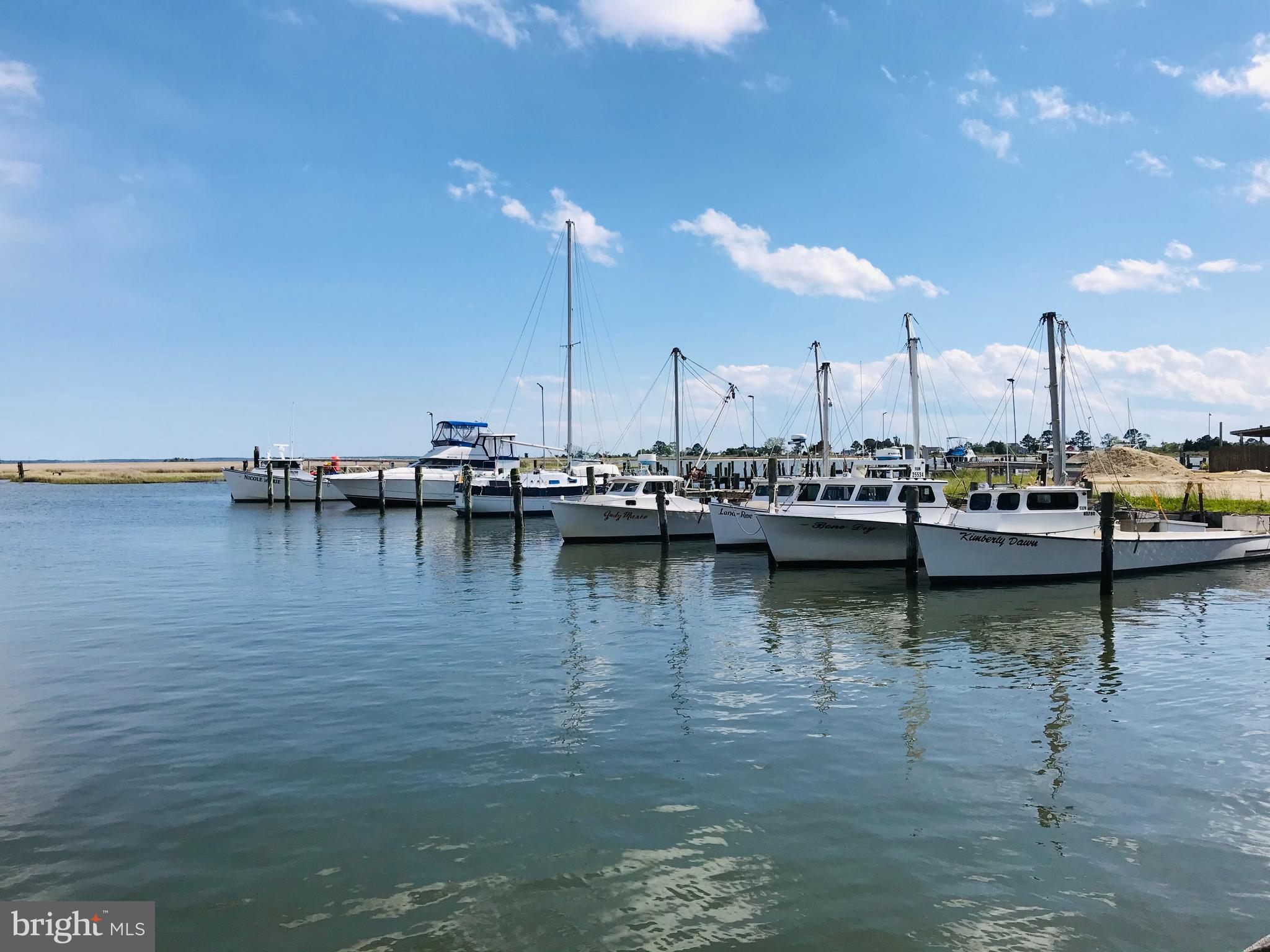 7792 Riverview Road Westover, MD 21871 - Photo 9 of 10 Commercial Seafood Boats dock with Yachts