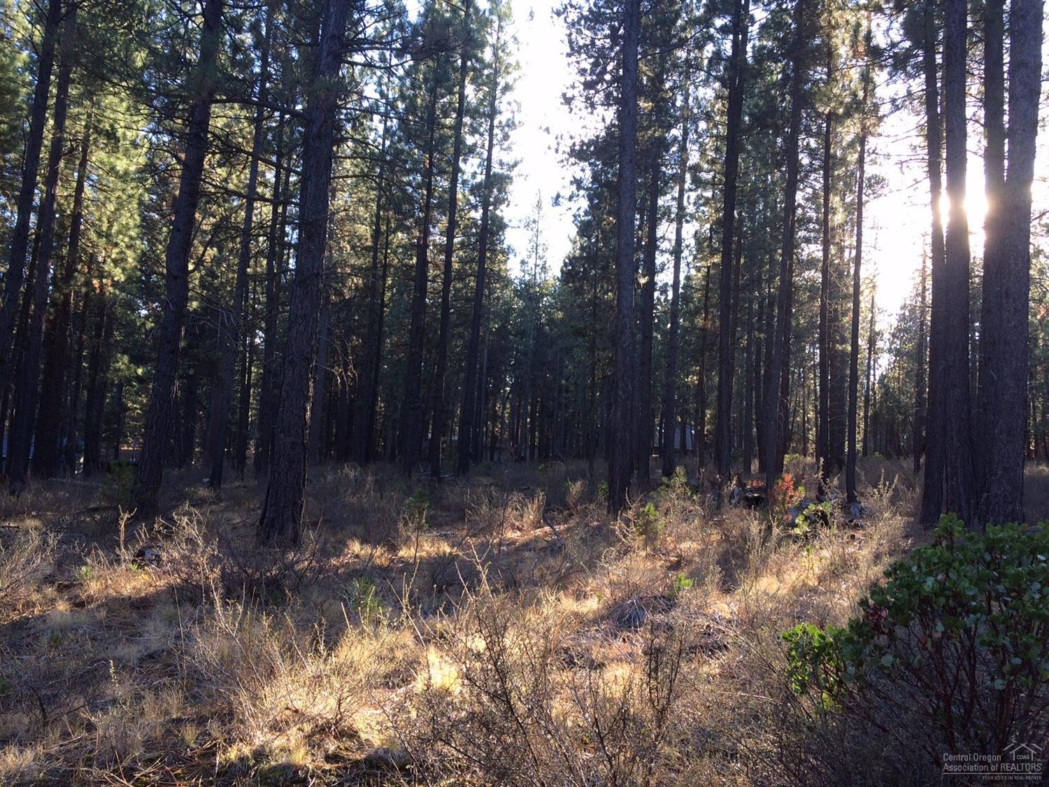 16857 Indio Road Bend, OR 97707 - Photo 1 of 4 Primary Photo
