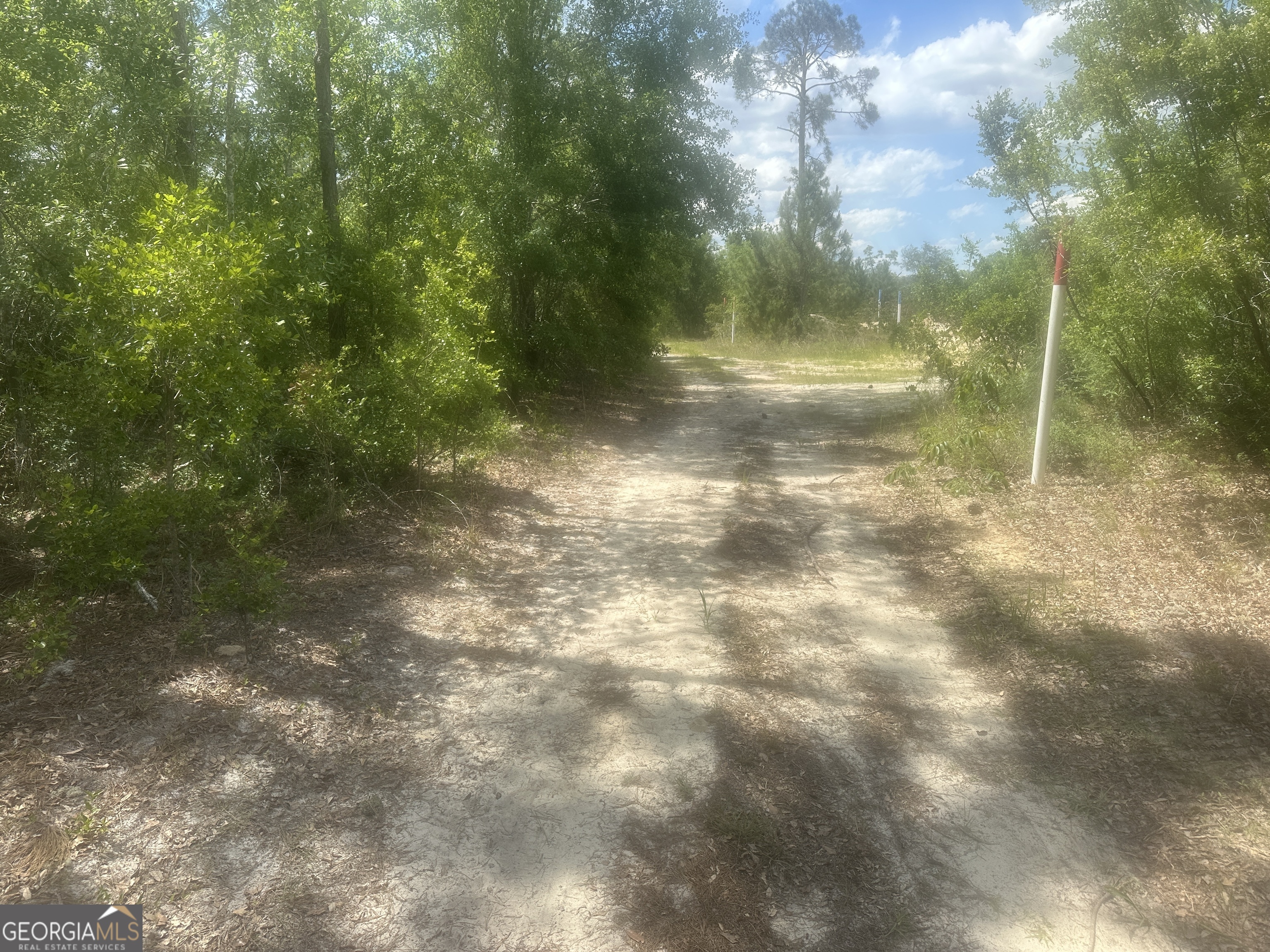 0 Robert Chapel Cemetery Road Glennville, GA 30427 - Photo 3 of 9 a view of a yard