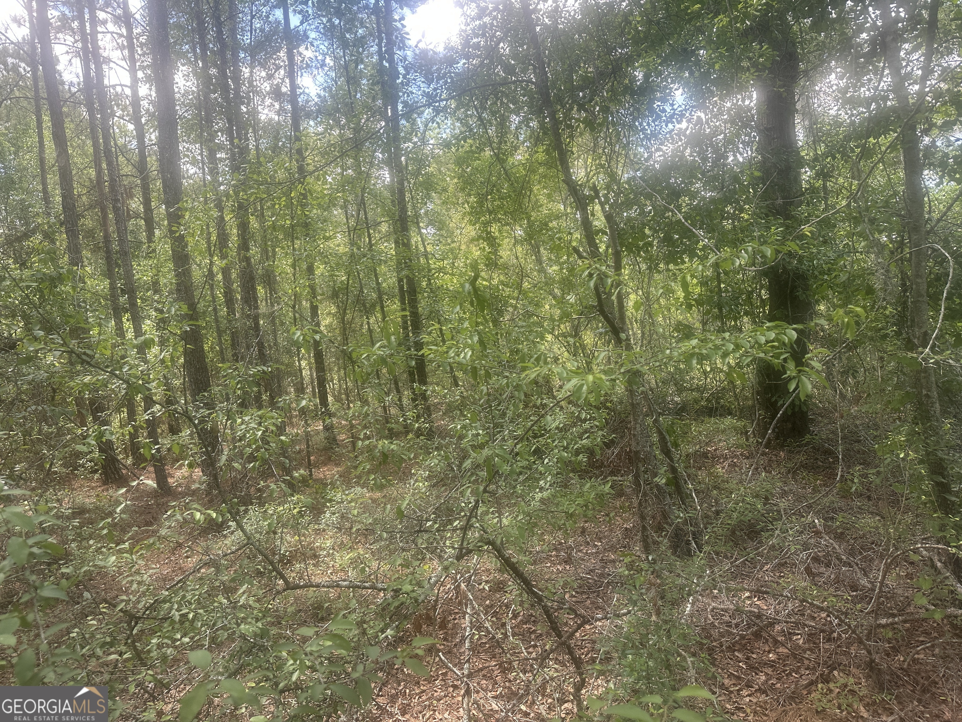 0 Robert Chapel Cemetery Road Glennville, GA 30427 - Photo 7 of 9 a bathroom with a small yard