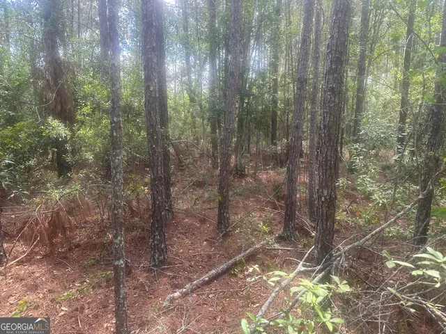 a view of a bathroom with trees and shower