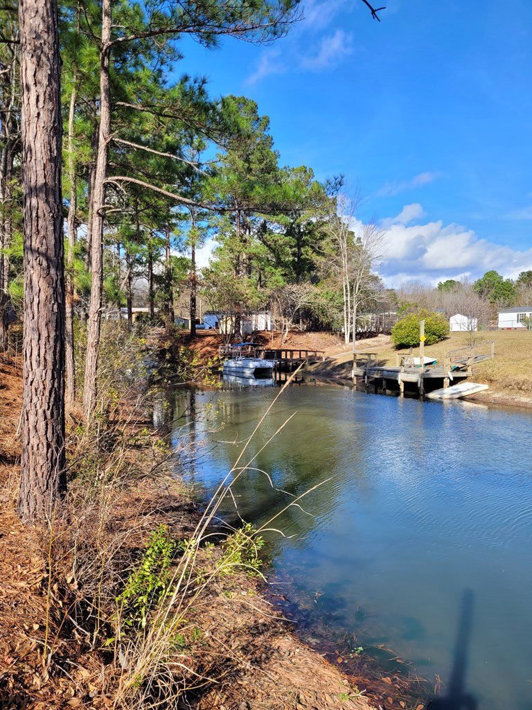1213 Hudson Road Summerton, SC 29148 - Photo 11 of 51 Gallery Image 11