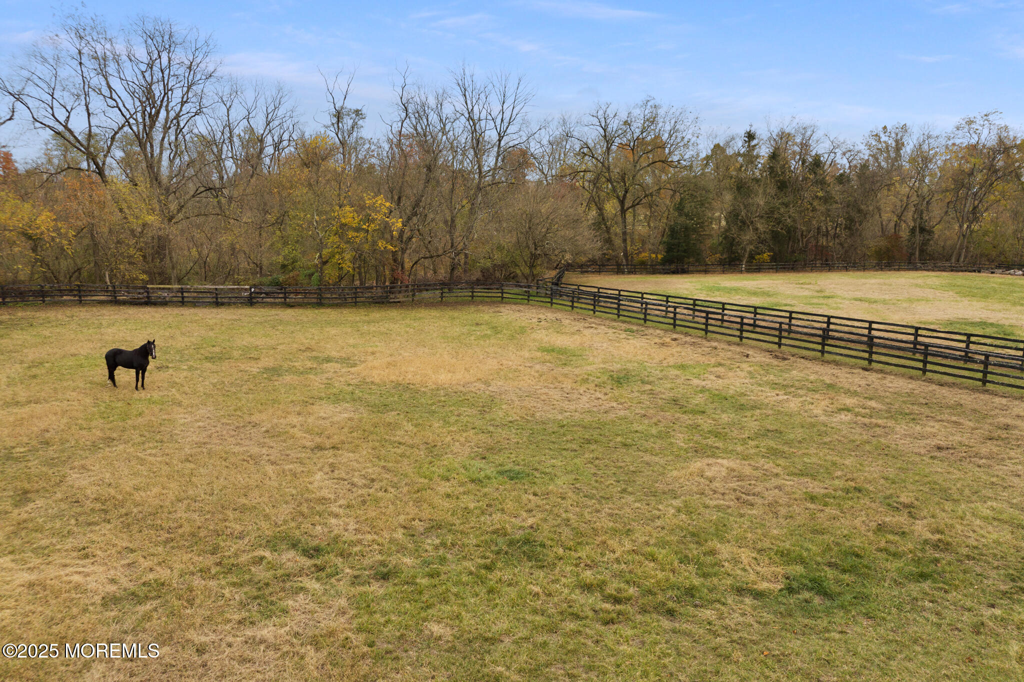 193 Burlington Path Road Cream Ridge, NJ 08514 - Photo 43 of 51 a view of a yard