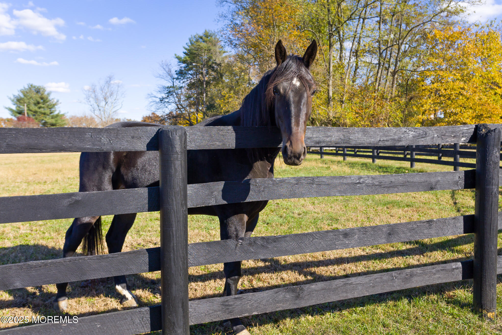 193 Burlington Path Road Cream Ridge, NJ 08514 - Photo 51 of 51 a view of a two chairs and table in the patio