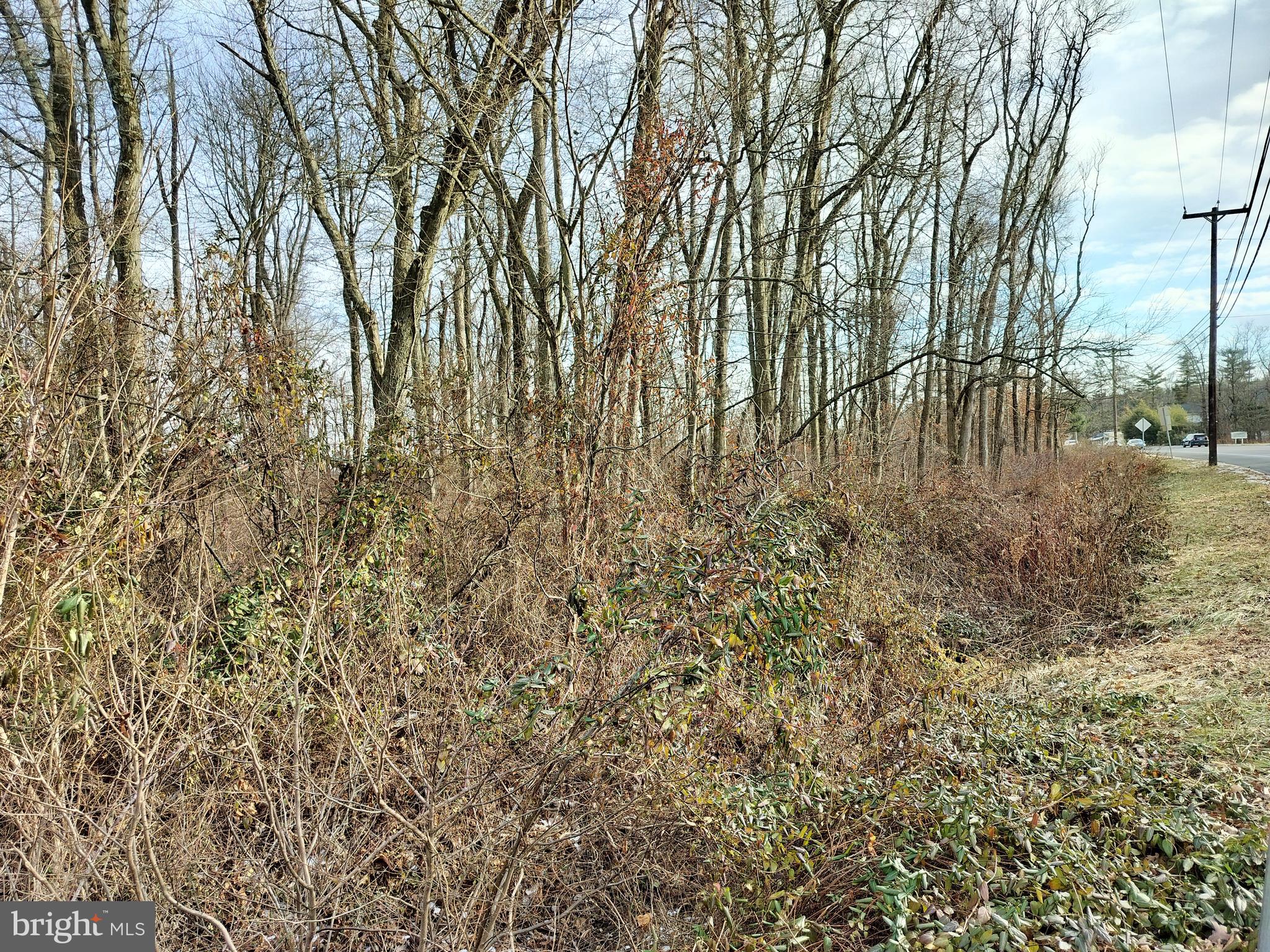 147 Rocktown Road Ringoes, NJ 08551 - Photo 11 of 15 Property section near Rt 31.