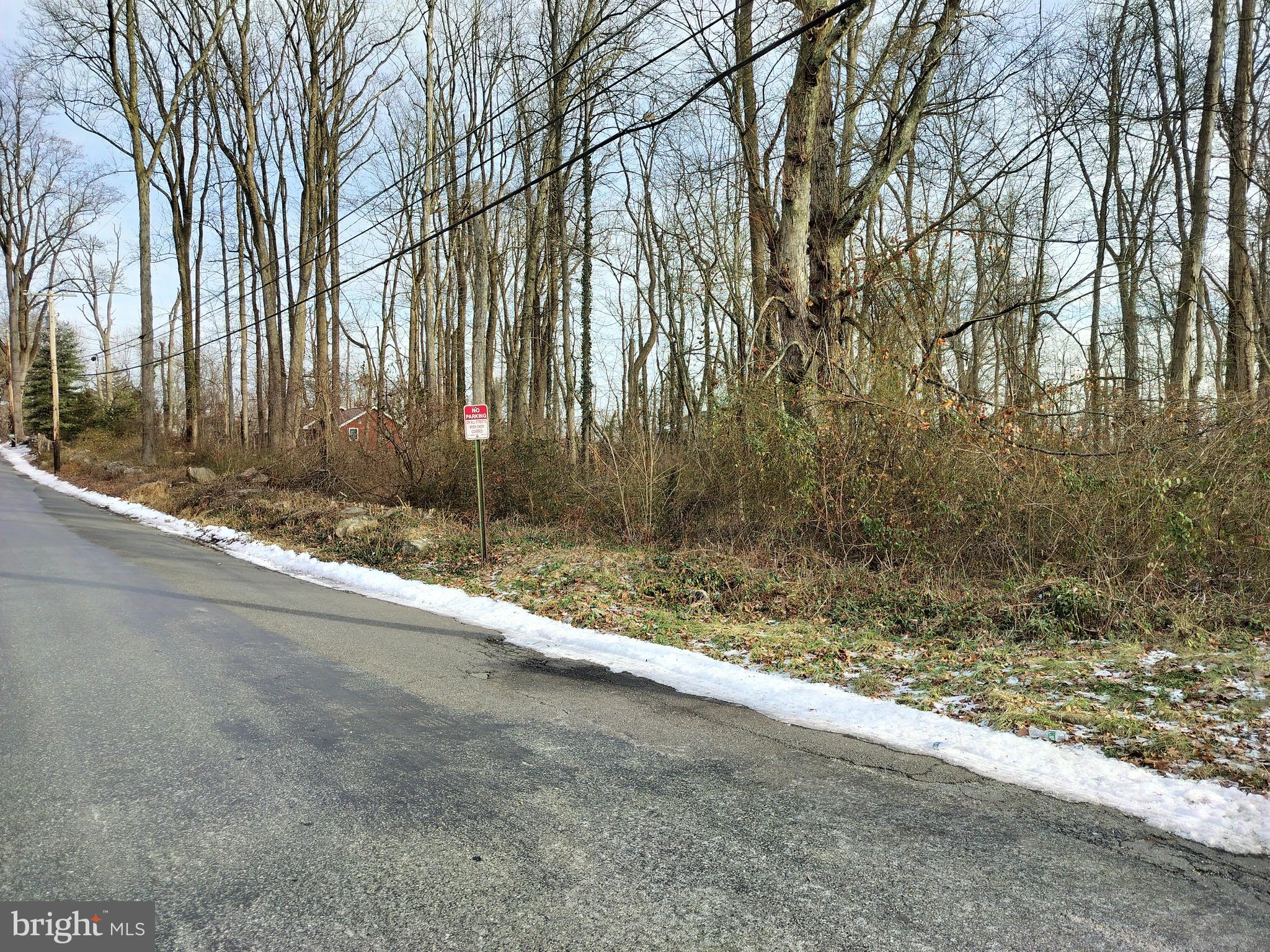 147 Rocktown Road Ringoes, NJ 08551 - Photo 13 of 15 View of Lot standing on Rocktown Rd.