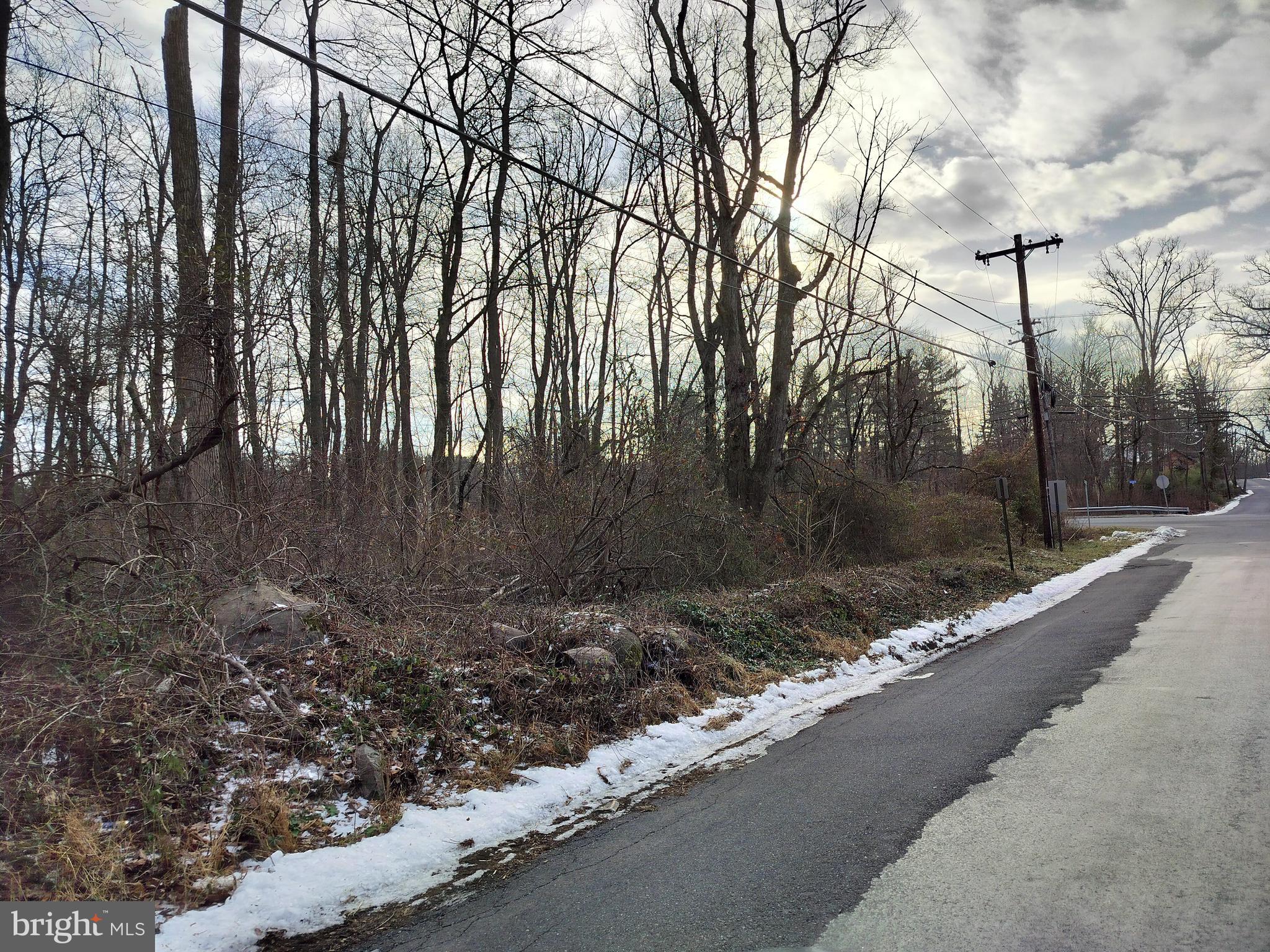 147 Rocktown Road Ringoes, NJ 08551 - Photo 4 of 15 Property line on Rocktown Rd.