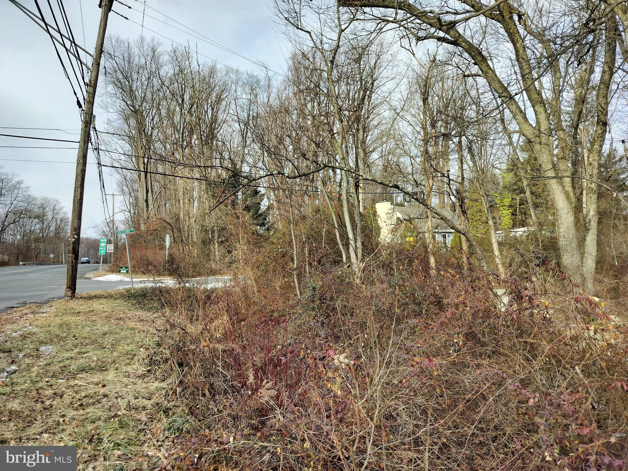 147 Rocktown Road Ringoes, NJ 08551 - Photo 7 of 15 View towards Rocktown Rd.