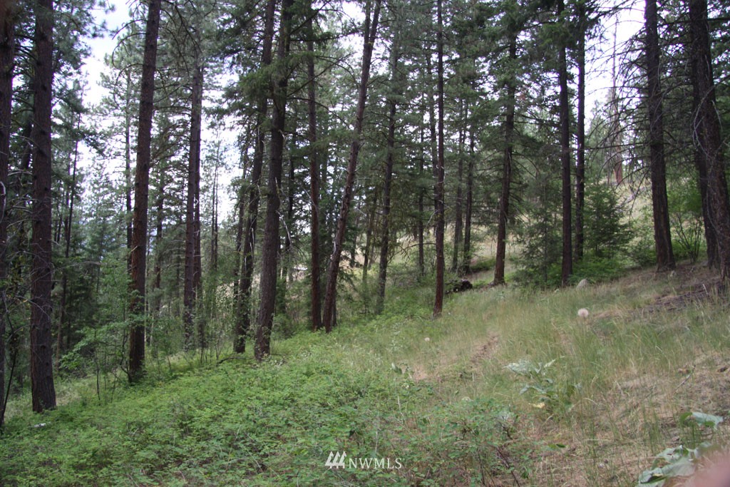 72 Heather Road Winthrop, WA 98862 - Photo 16 of 25 Gallery Image 16