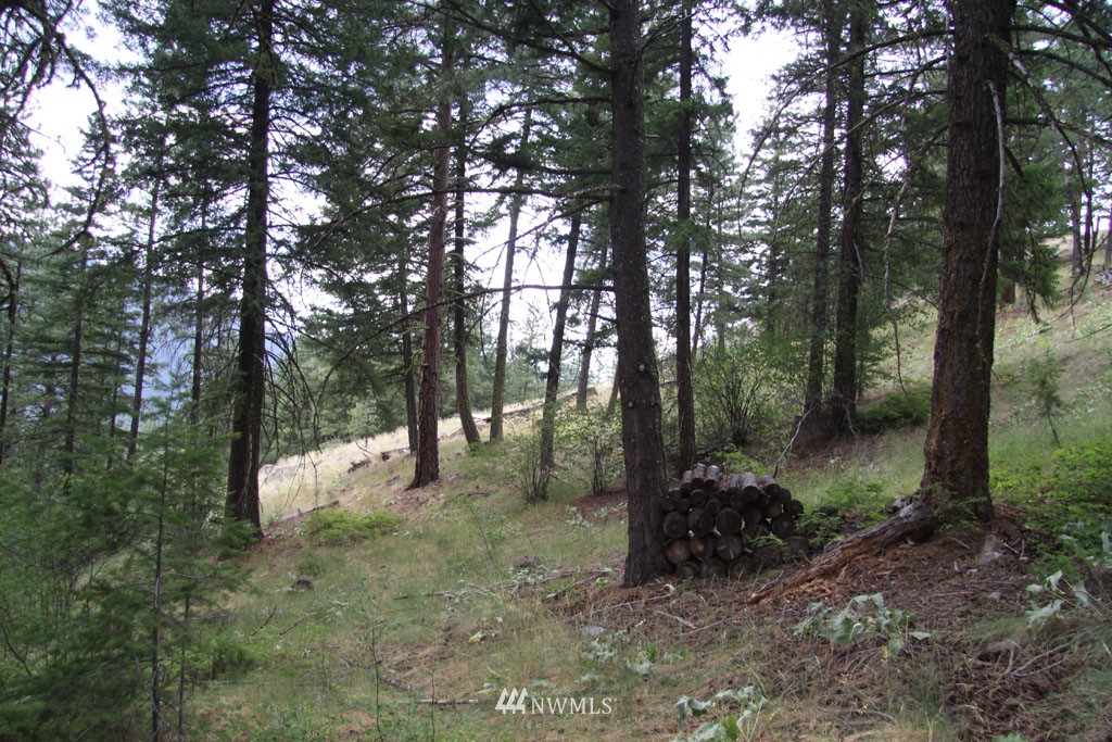 72 Heather Road Winthrop, WA 98862 - Photo 17 of 25 Gallery Image 17
