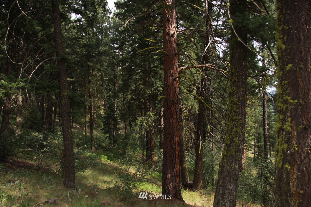 72 Heather Road Winthrop, WA 98862 - Photo 19 of 25 Gallery Image 19