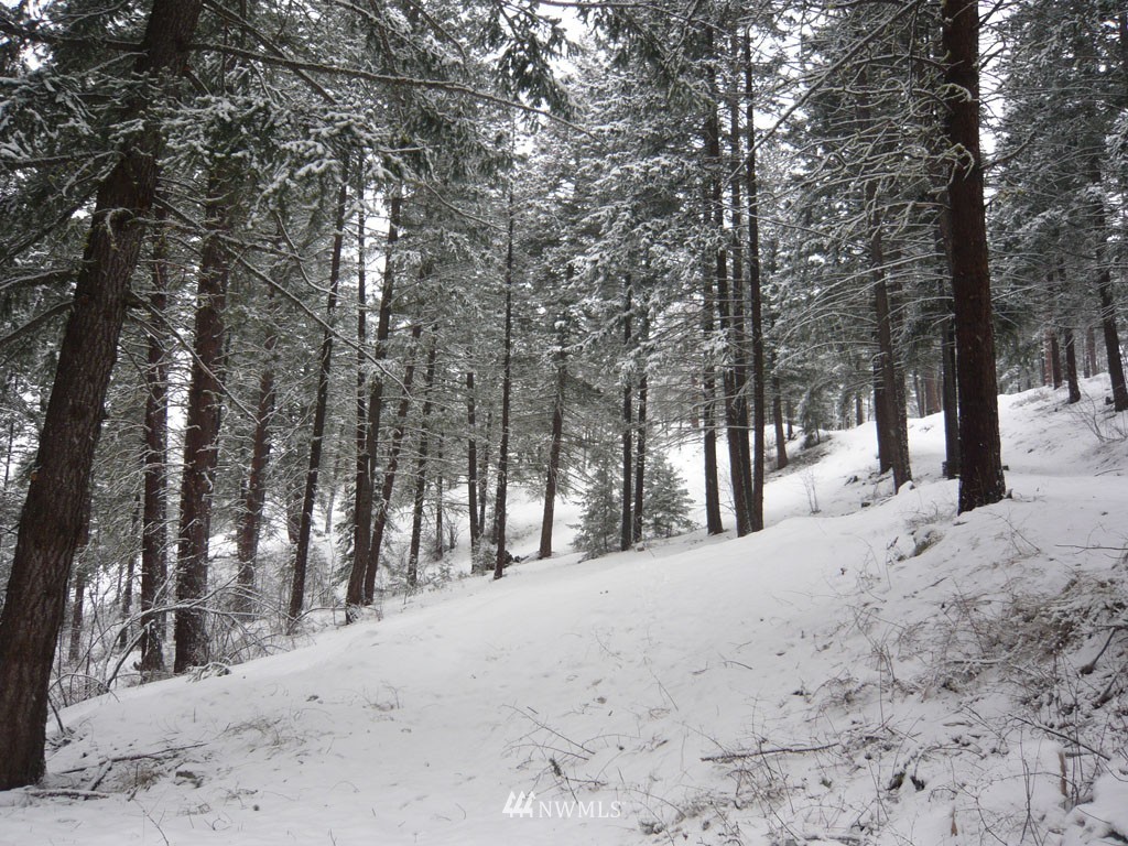 72 Heather Road Winthrop, WA 98862 - Photo 3 of 25 Gallery Image 3