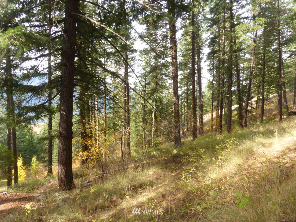 72 Heather Road Winthrop, WA 98862 - Photo 21 of 25 Gallery Image 21