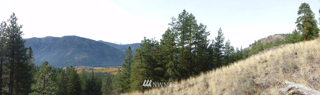 72 Heather Road Winthrop, WA 98862 - Photo 24 of 25 Gallery Image 24