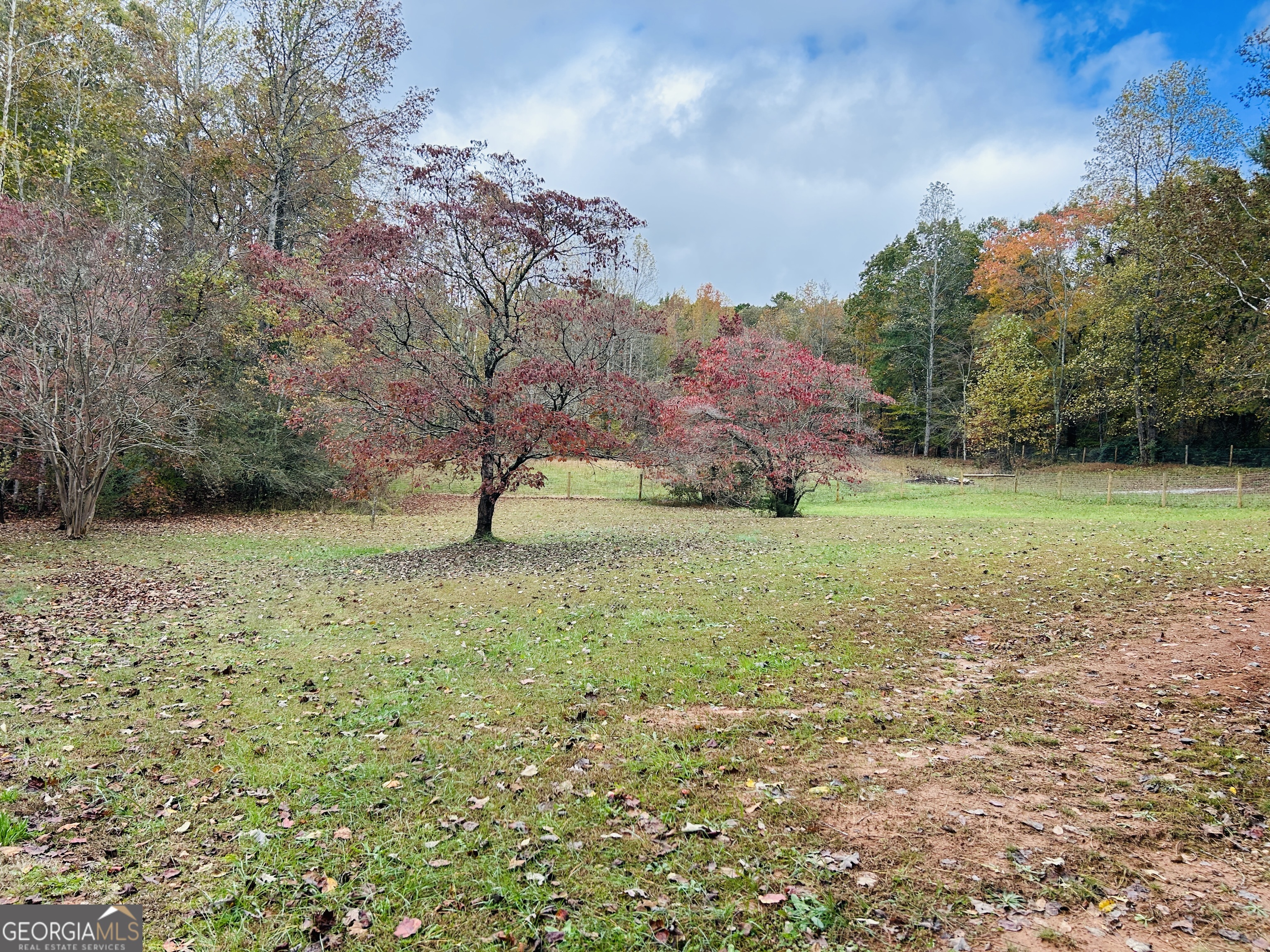 3077 Alec Mountain Road Clarkesville, GA 30523 - Photo 32 of 35 a view of a garden with a tree
