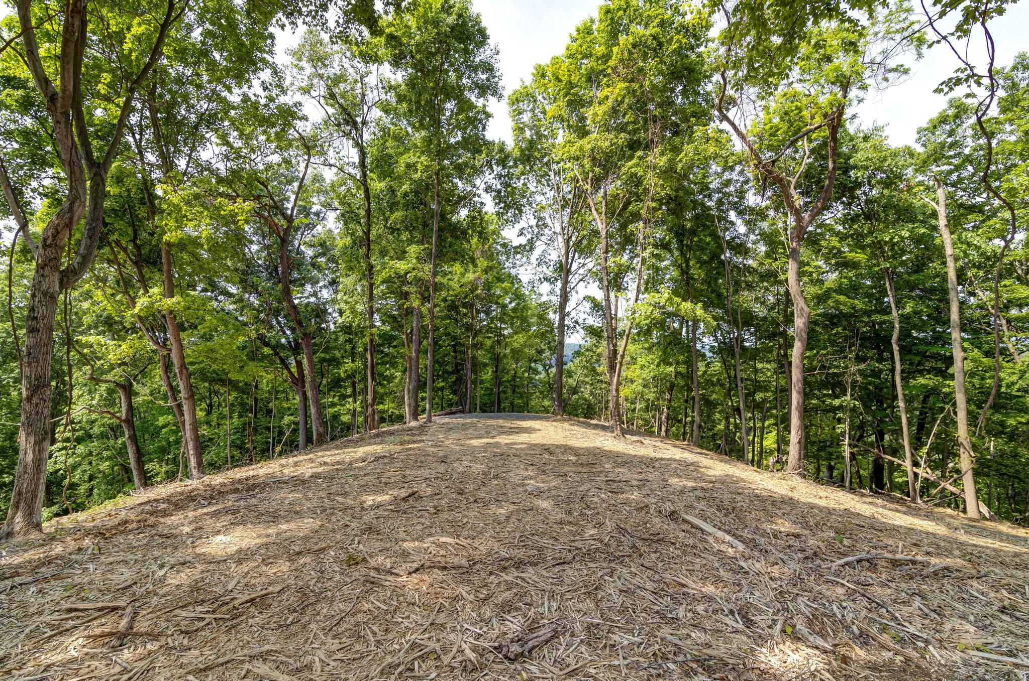 Lot 3 Cooks Landing Road Kingsport, TN 37664 - Photo 13 of 17 CooksLandingGround8