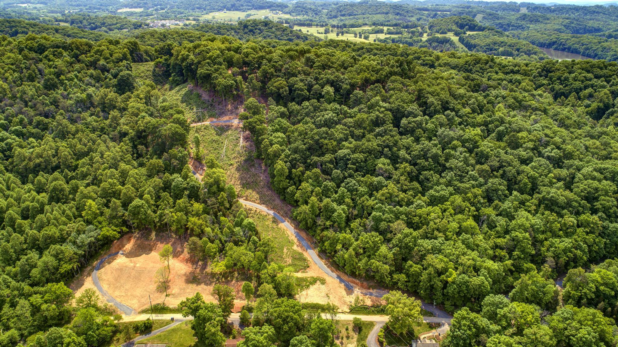 Lot 3 Cooks Landing Road Kingsport, TN 37664 - Photo 8 of 17 CooksLandingDrone9