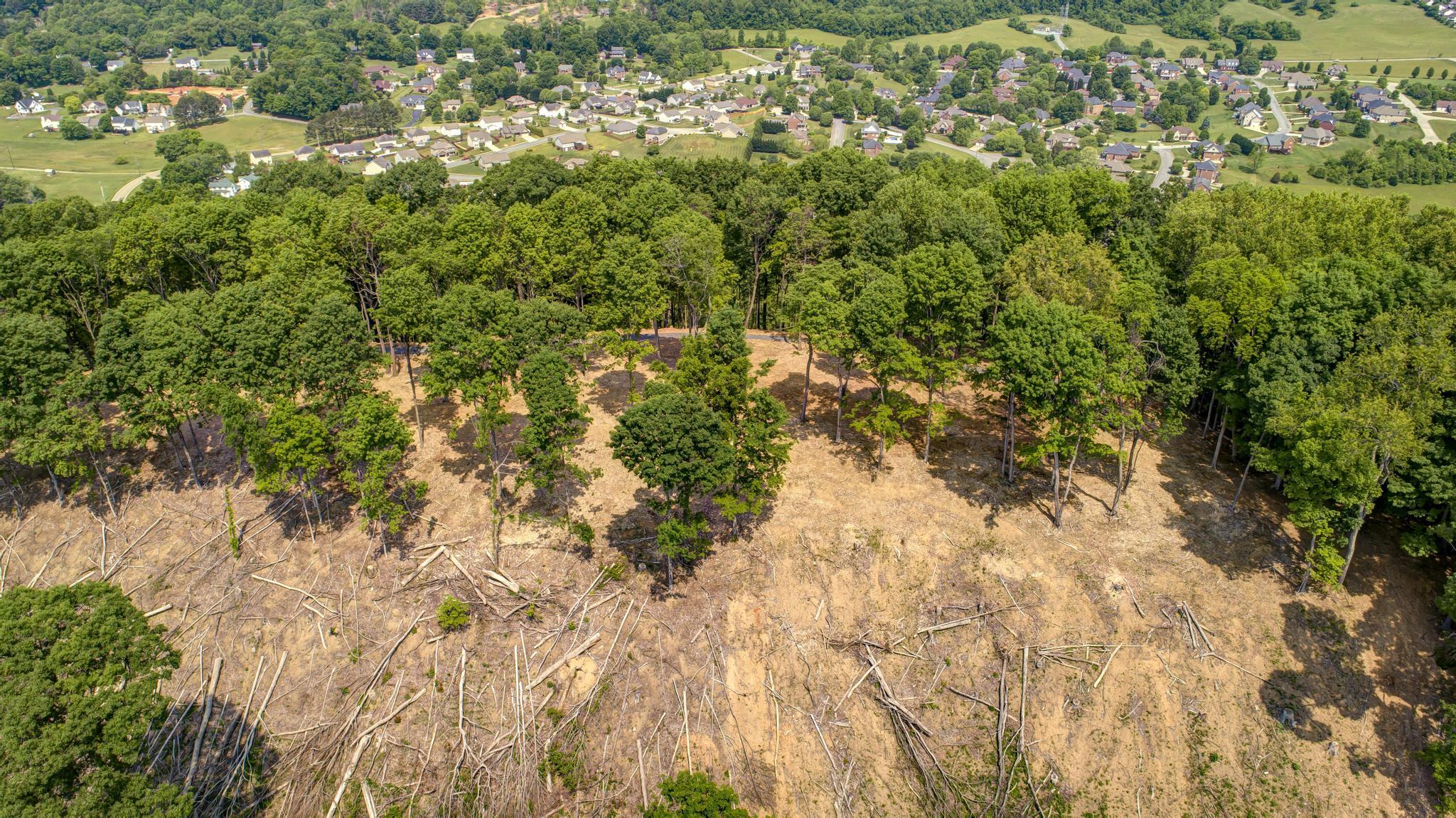 Lot 3 Cooks Landing Road Kingsport, TN 37664 - Photo 9 of 17 CooksLandingDrone12