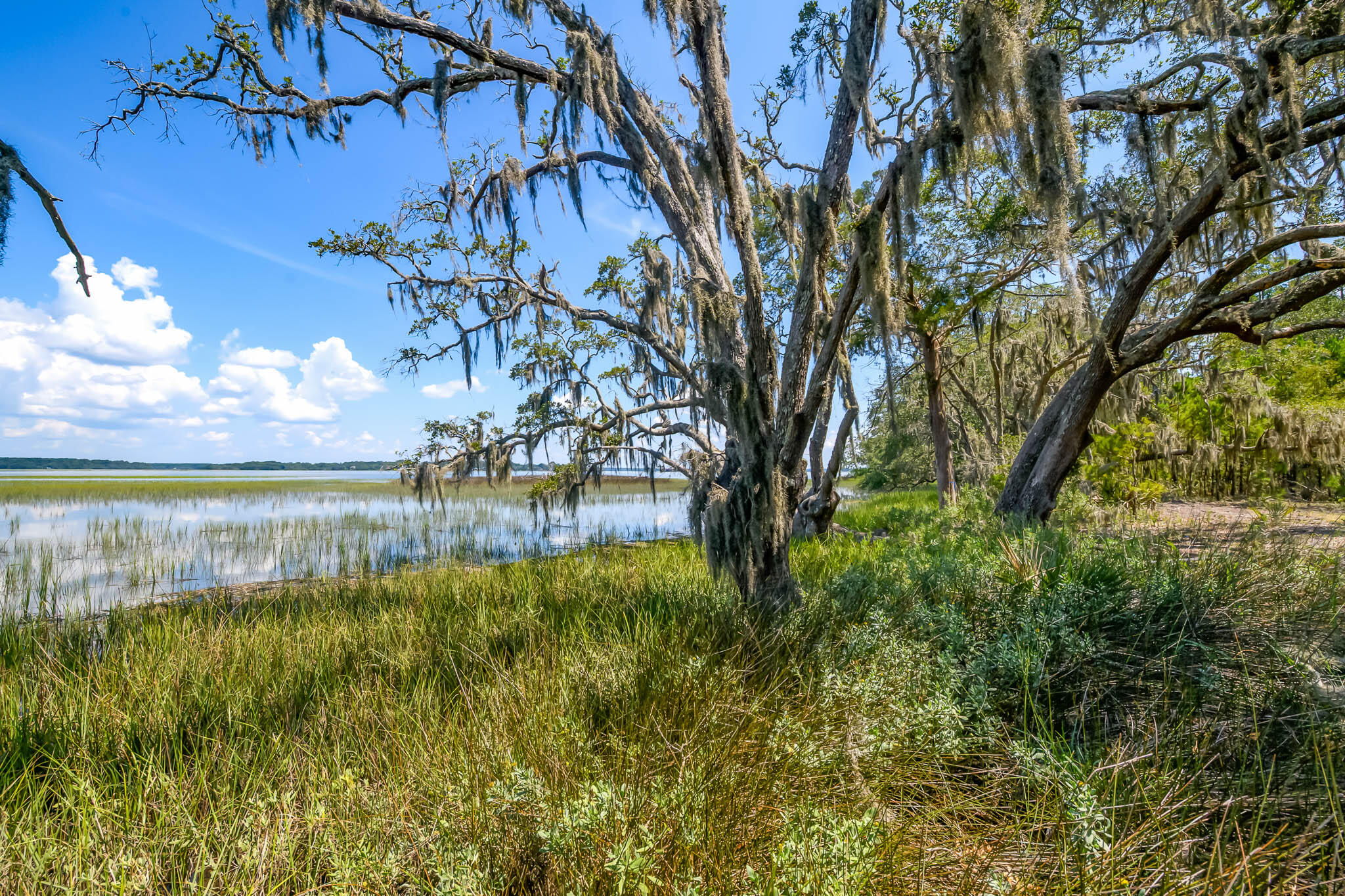 6258 Josie Ridge Road Wadmalaw Island, SC 29487 - Photo 21 of 43 HFL_6258 JOSIE RIDGE-18